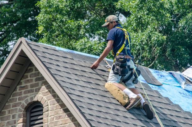Best Storm Damage Roof Repair  in Wilberforce, OH